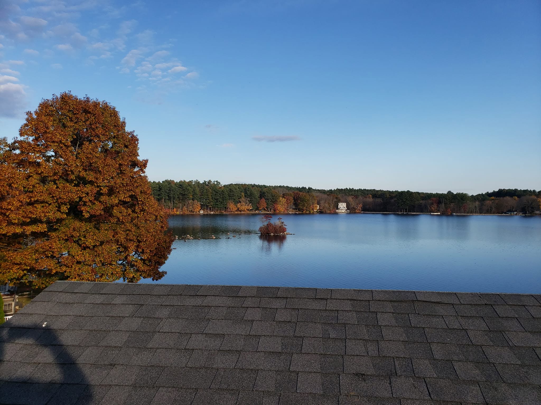 Autumn lakeside view with golden tree, calm blue water, and forested shoreline